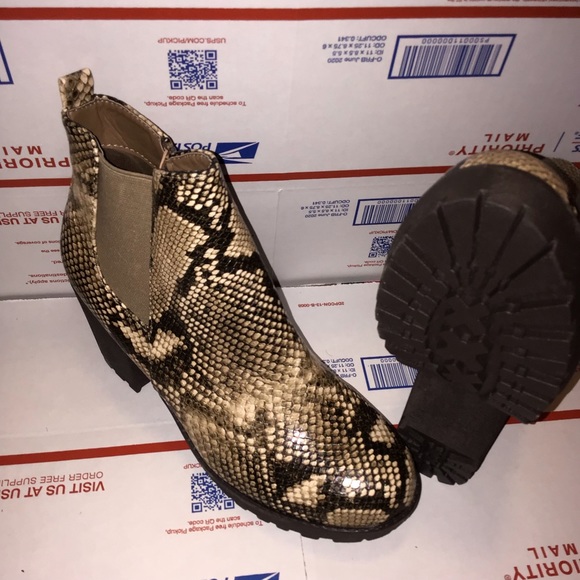 Snake - Picture 5 of 6